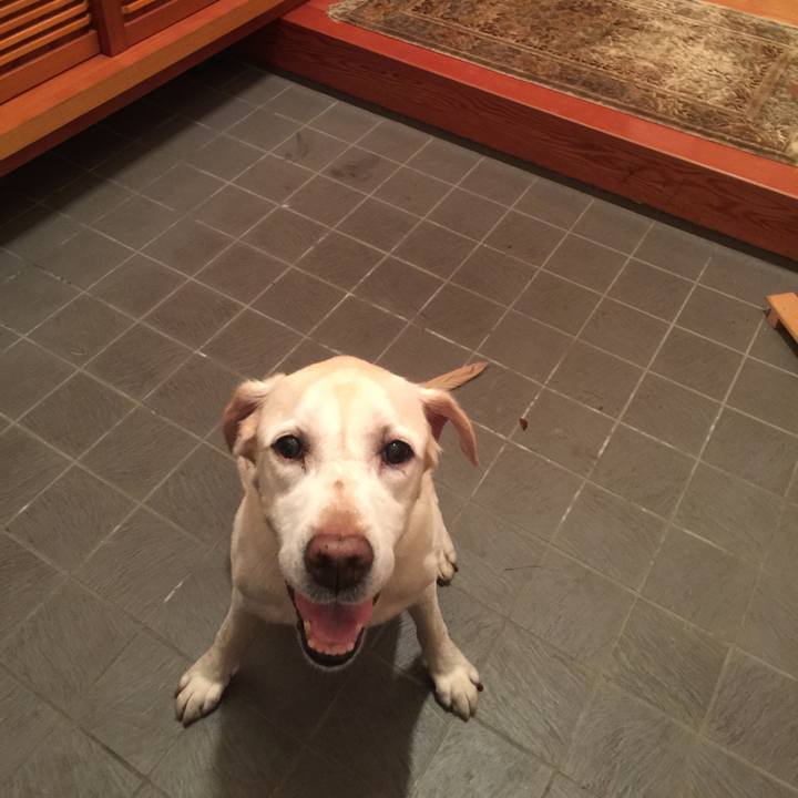 Bcd72005 163e 44ba abaa e4b548001edf