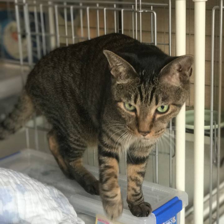 Bcd78daa 4234 42b7 8709 be1a366b7acf