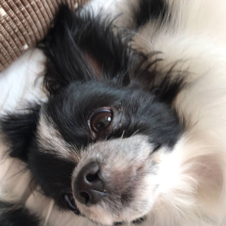 Bcd82a53 bdc3 416a 91e3 fff1c55b4303