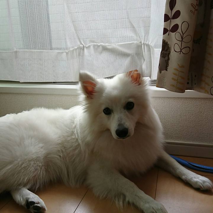 Bcd83562 3725 4b3e 9440 f9d670c7118d