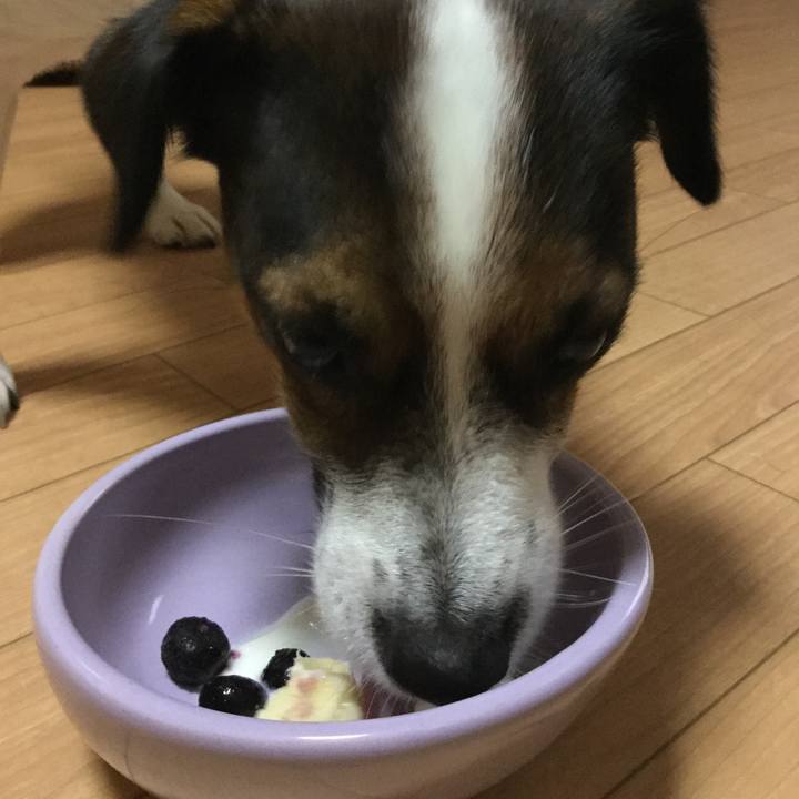 Bcd89237 a0b7 4a21 8735 c0df3ed2ec6c