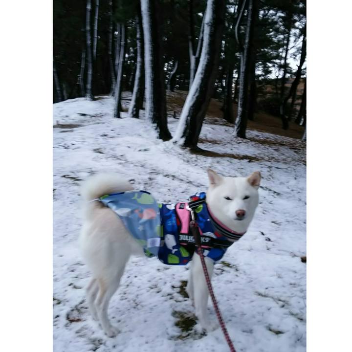 Bcd8a89e 6865 4e50 93e1 fe7ec727432c