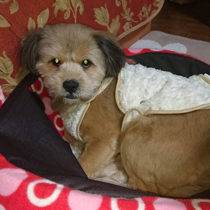 Bcd8cb59 ffff 41f4 9fea dcc9020aedb6