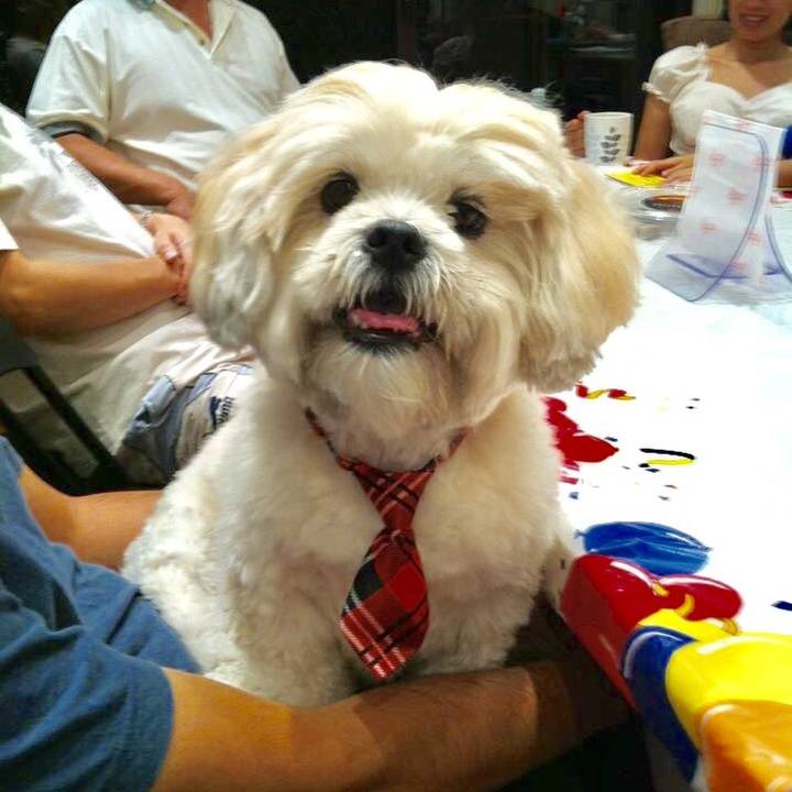 Bcd95a23 a8ee 4e7a 94b6 99a8670d34d2