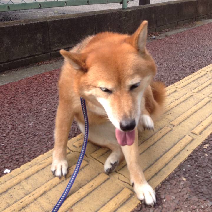 Bcd95aa9 d237 400b 96b7 012fc7826e85