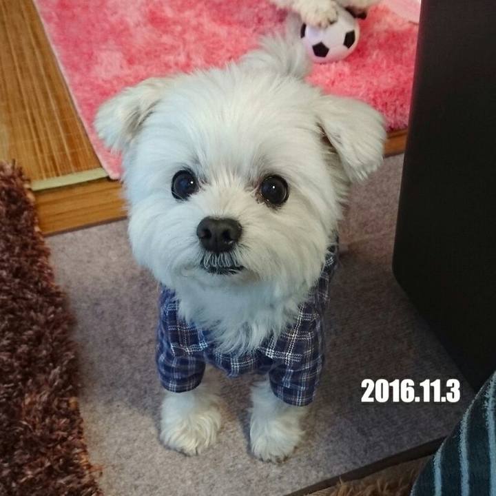 Bcd99d7b cdb0 4a54 a25d 116a0d3adedb