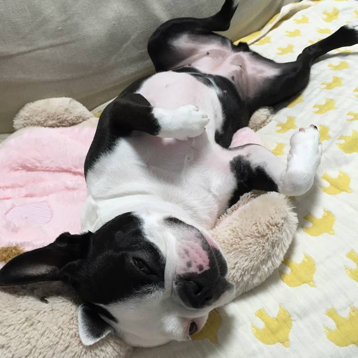 Bcda53d6 7ec3 463f b59b cf145fb2861c