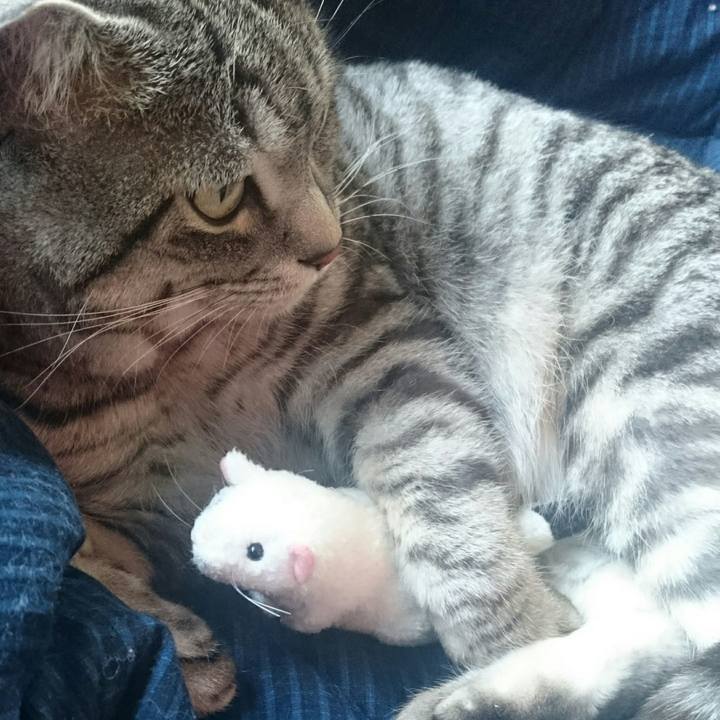 Bcda7dd3 caee 4eee bd23 b576cf1981cb