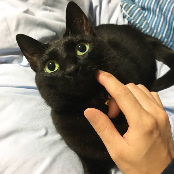 Bcdaa7f3 8e9c 494c 967a c80e333c3ad9