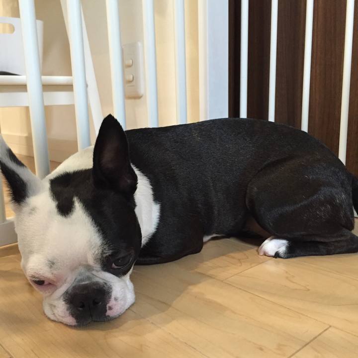 Bcdb6c4a 38b0 408f b9cf e3f95c862015