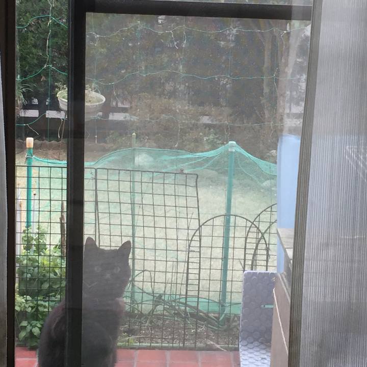 Bcdba790 8728 456f b40a 8fd6472c8908