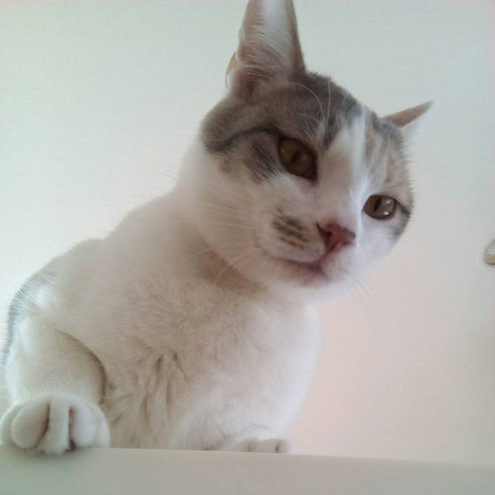 Bcdc4d25 92dd 4e6d 8b05 7d2baf5e447f