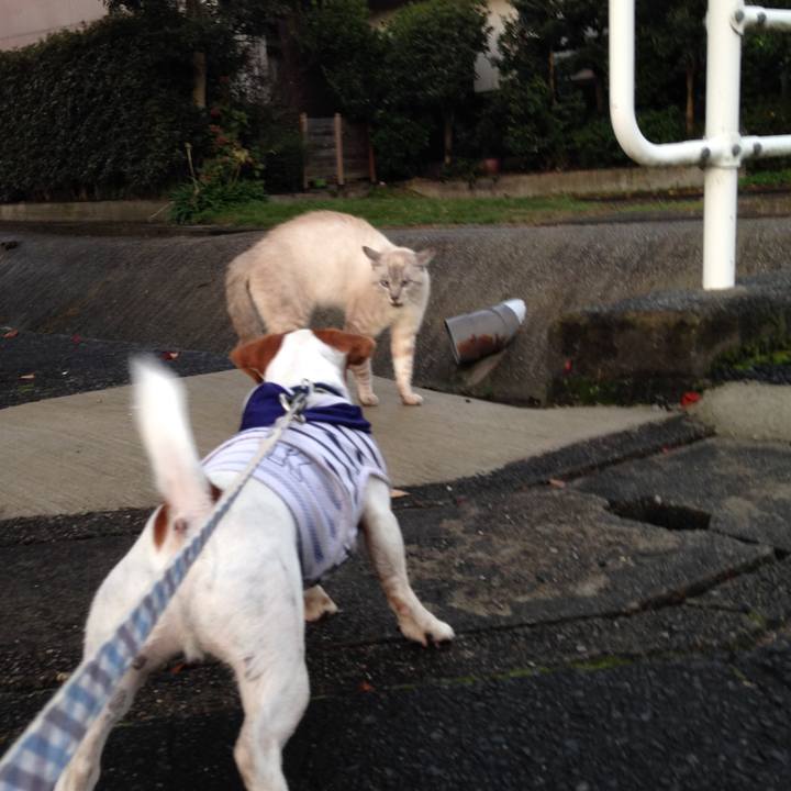 Bcdcf168 b719 438c 9711 13d2fc87c738