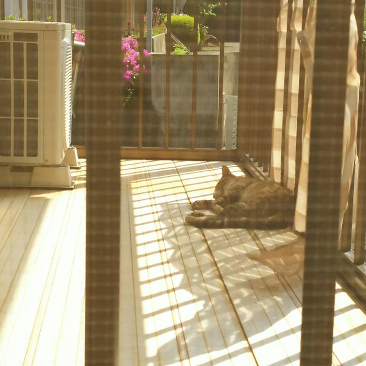 Bcdd9a23 a0a8 4db6 888b 4249eb187a2f