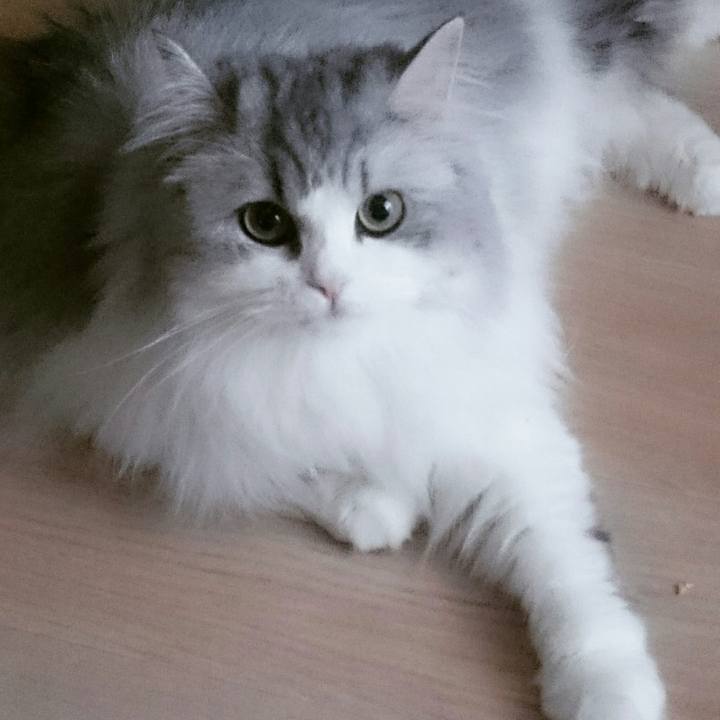 Bcde3e55 16b1 49af 8d12 99c221a2083c