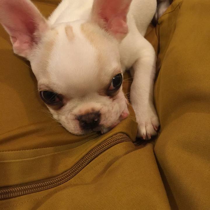 Bcde4240 9591 4b39 a06b 607f34f43e61