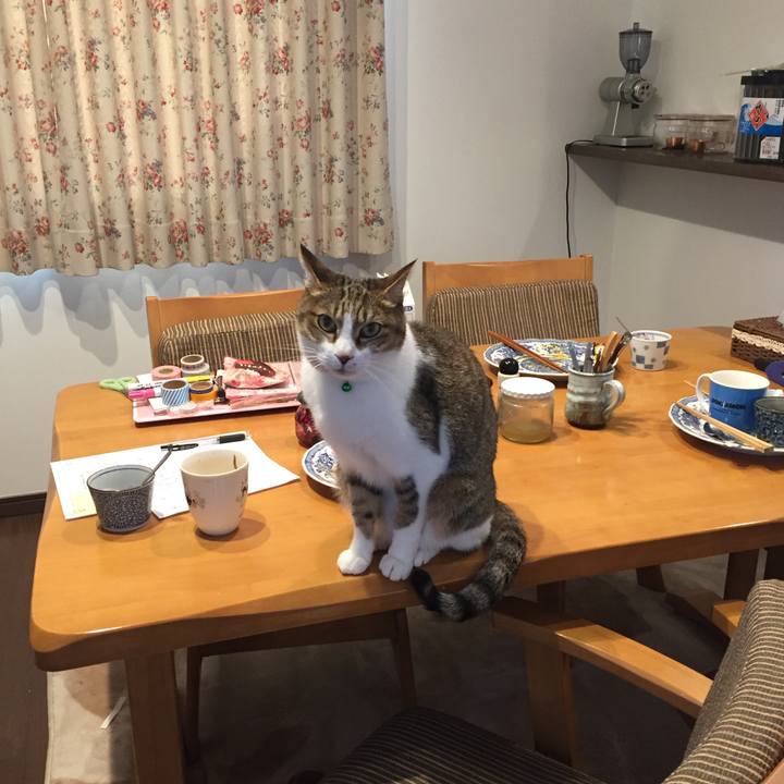 Bcde74f1 c3be 4023 8250 aac8c2a9ea9c