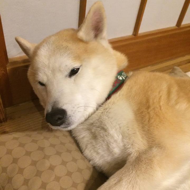 Bcdeb03f fd4b 433d a8d0 c1310f5d7b64