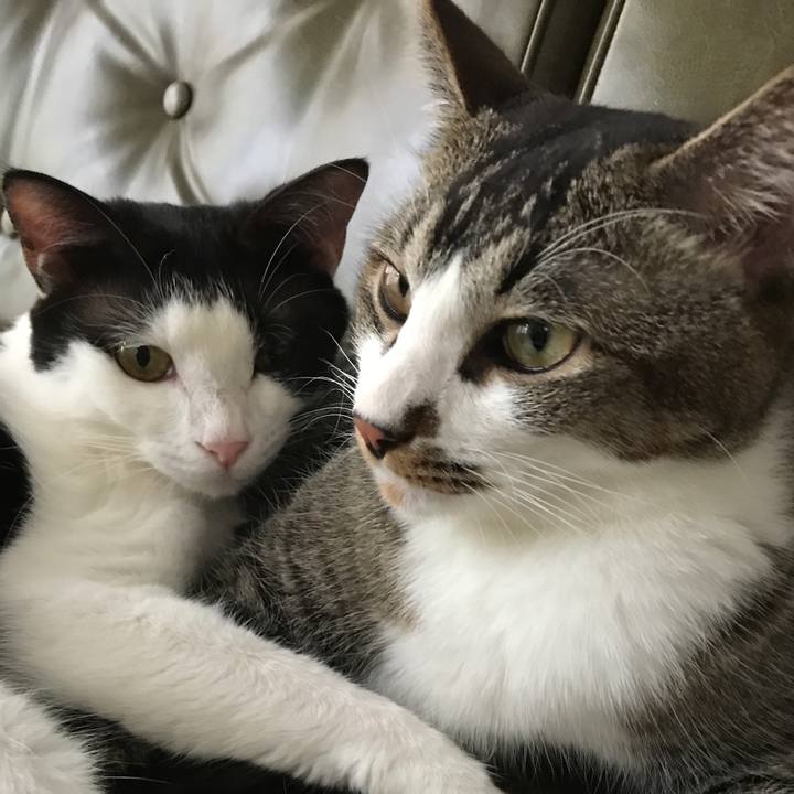 Bcdec2f4 4d44 4c3e bbc5 229f689fc7f7