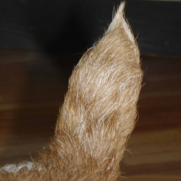 Bcdf9836 f315 4166 950e b68d54177319