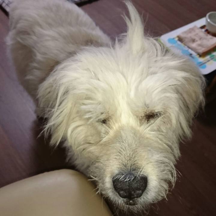 Bcdfbff3 9a84 489d b6e9 b99e35a51646