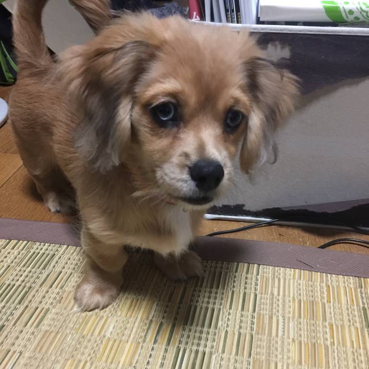 Bce099aa d14c 4d77 8931 3b309e25205e