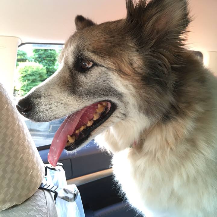 Bce0aba2 27d0 4849 8f52 6ae955afdb93