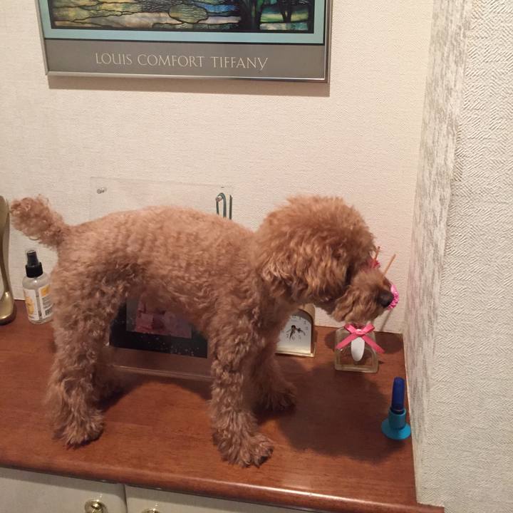 Bce0f944 8b94 47f1 8592 0f9fd222c1c6