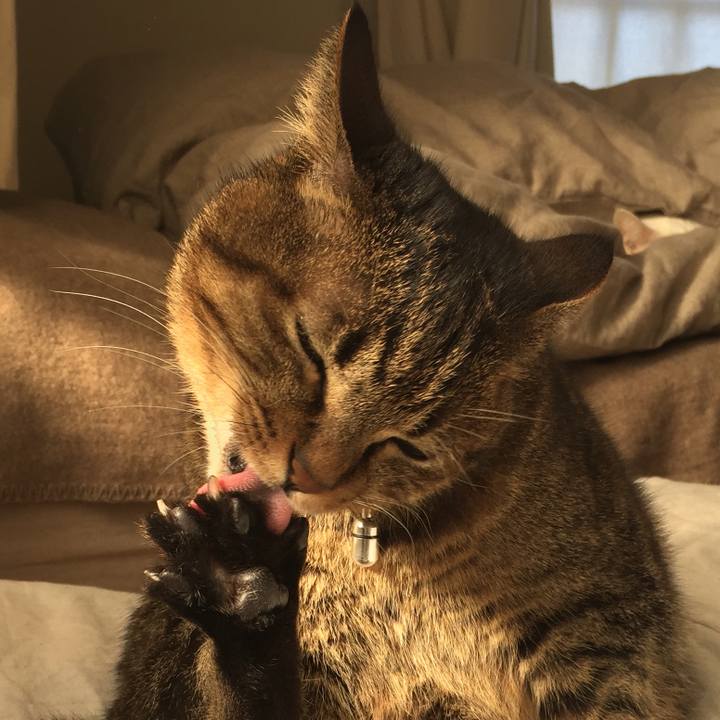 Bce1f01d d3eb 4006 9b49 2bbb82323b2d