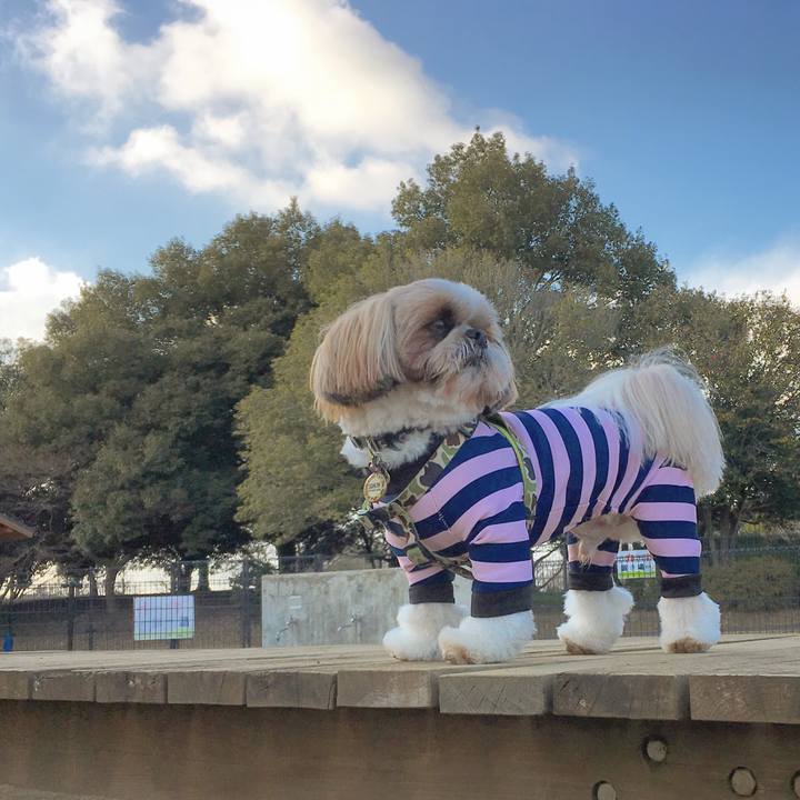 Bce2e836 3c9c 4b69 aa51 688a353bdfbe