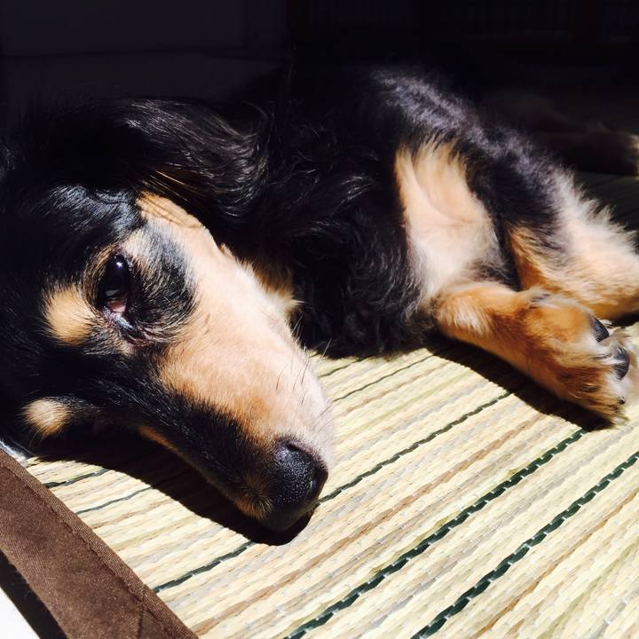 Bce33dd9 0923 4f07 8775 ec1a565c85ca