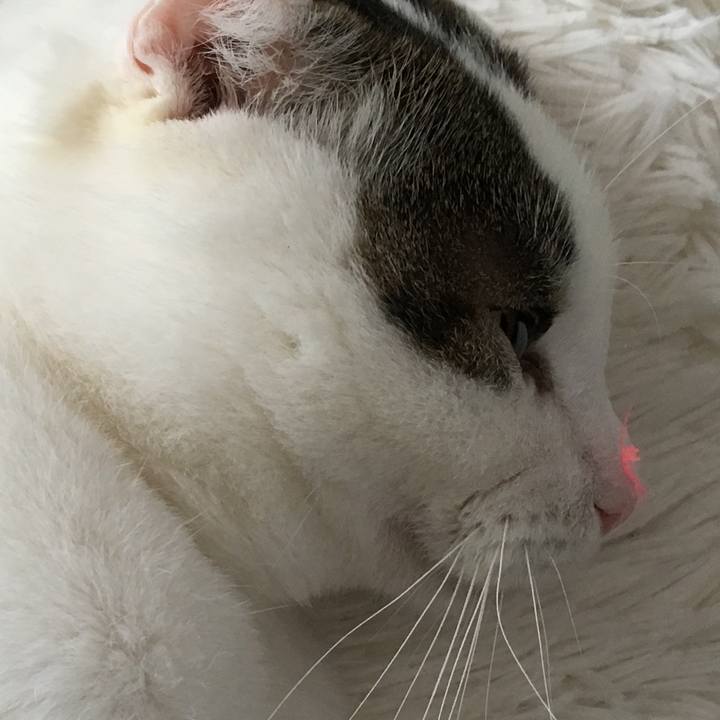 Bce3a995 c726 4044 bbcf 31fe1bf7b781