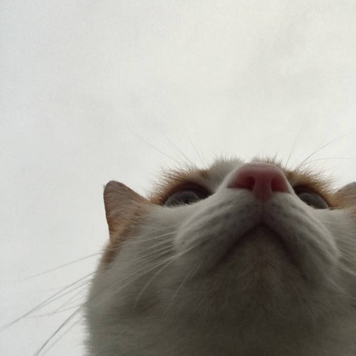 Bce3dcd2 670f 492a 9599 93a1049337fb