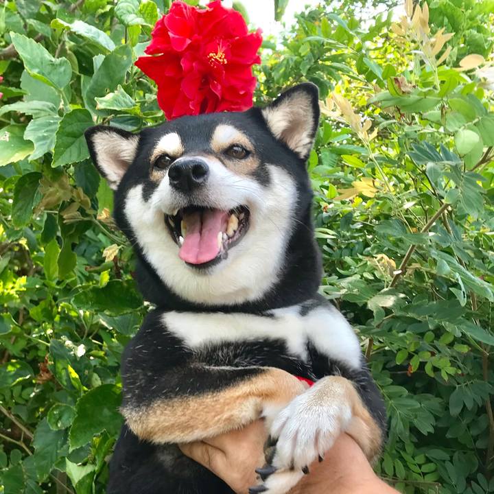 Bce416db b80d 48e8 b7fd 4aeca47943e1