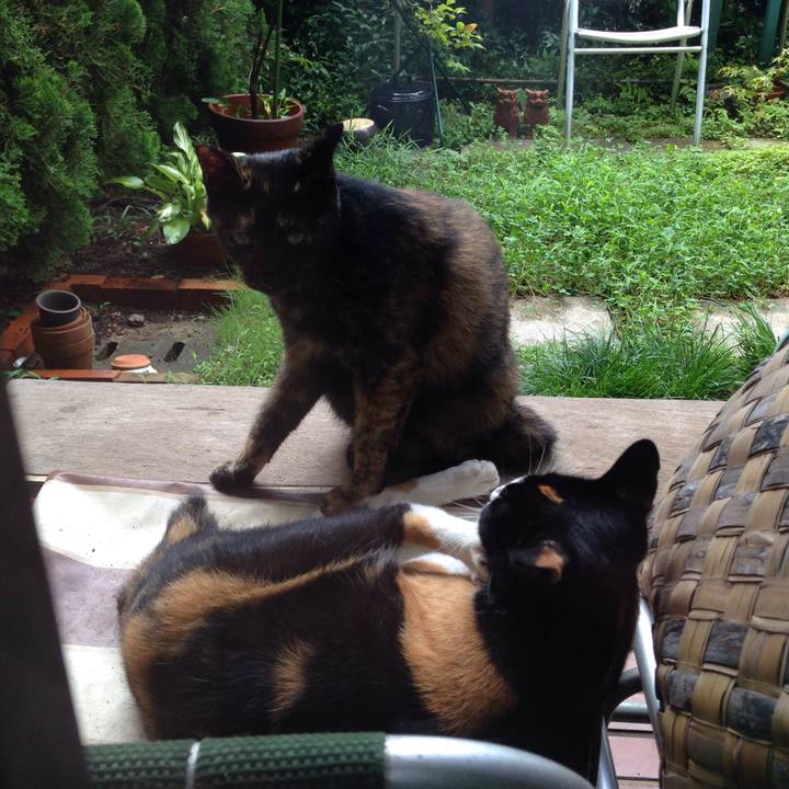 Bce44cf7 7640 4d00 b9d3 a2731a1ef5c1