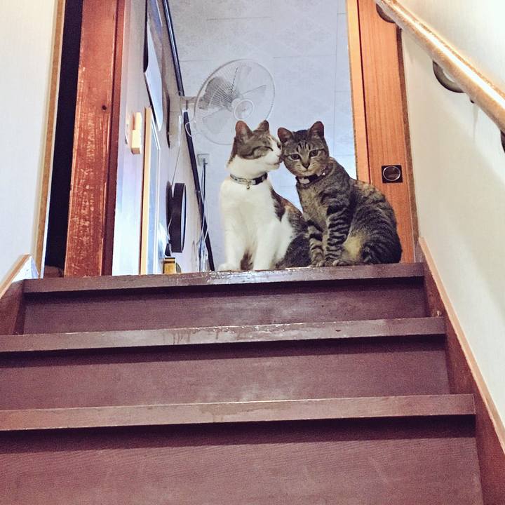 Bce46b48 bdb4 4aea 8059 8c166e073a9c