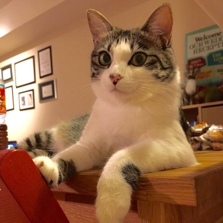 Bce53101 ea4c 44d2 8e79 44a7e68ce581