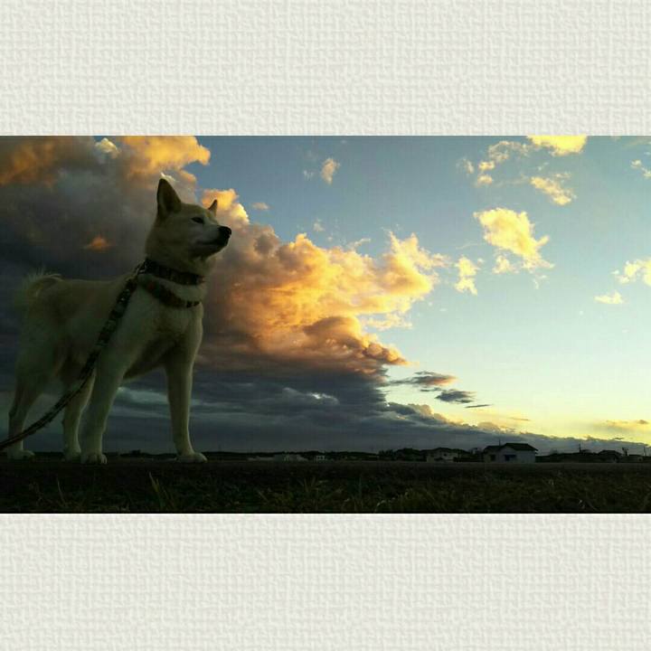 Bce56ad3 17a1 4b98 8821 02fb0de86a9e