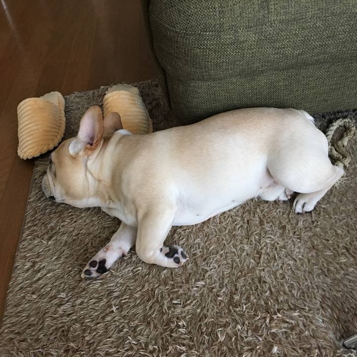 Bce59fcd 5577 4f84 91ae f4c1dc91ddfa