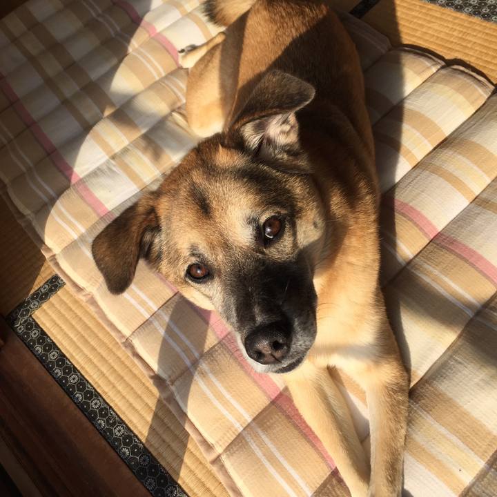 Bce5ebe0 eb80 4439 9e9f 25dfb3c35653