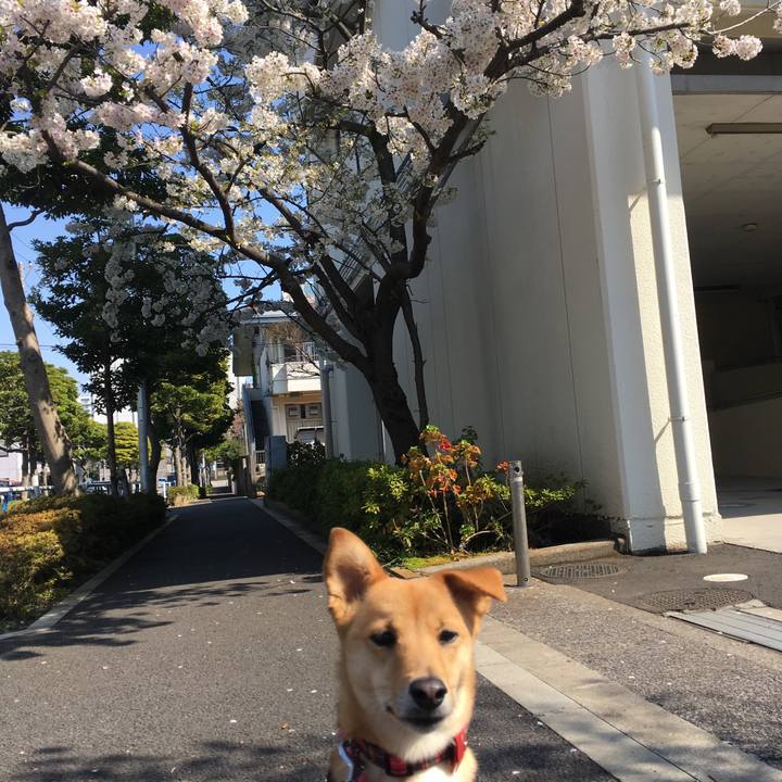 Bce5ee0e 383e 41be b9aa ab6786081a29