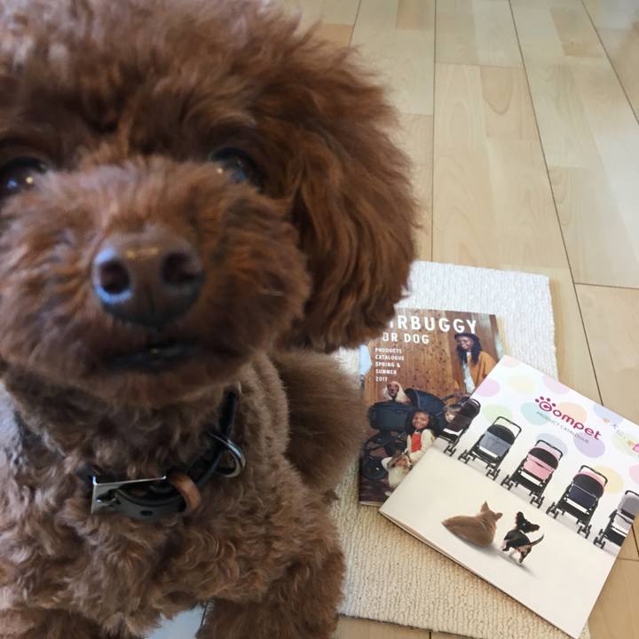 Bce66604 c2ee 4304 9fc4 9c8b8912fe6b