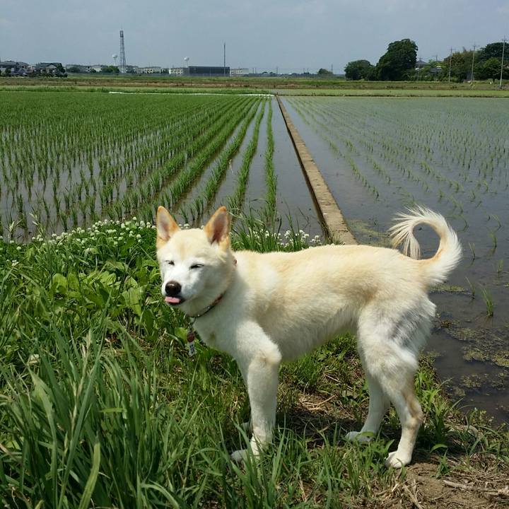 Bce71b67 452e 4d35 aabd fac19a22d66b