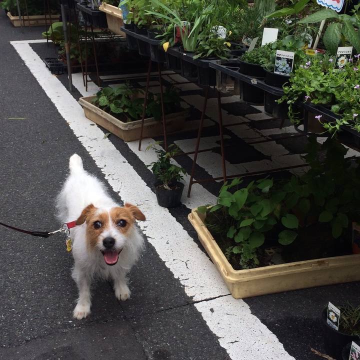 Bce787a2 e990 4f18 96b8 efc887aee9eb