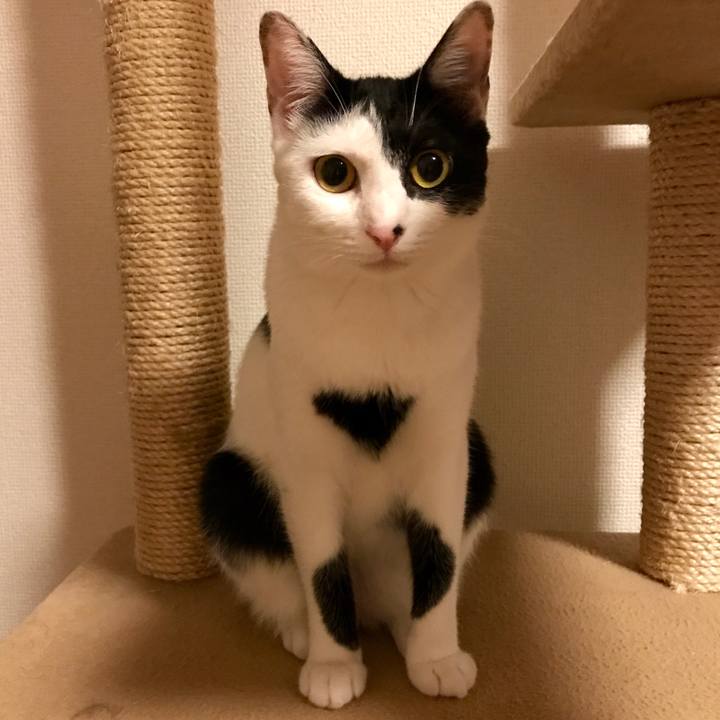 Bce7922f f83c 447c 9758 b5e62d63915c