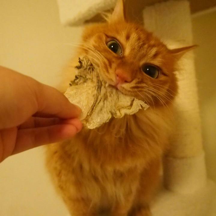 Bce7bd1c c9fb 4ab6 9881 f5793c00604c