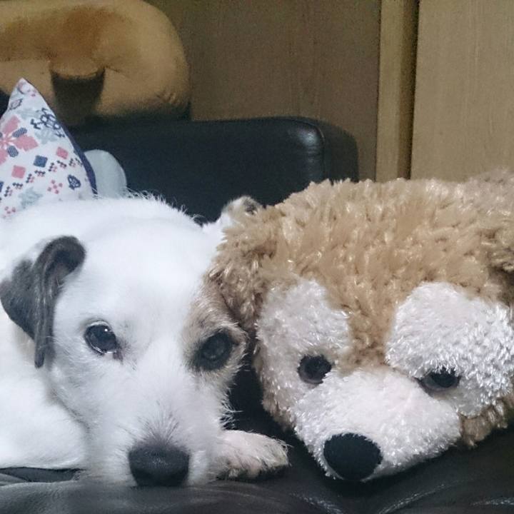 Bce7f0f4 e6be 48c1 8ca7 aae5ca3a0eb1