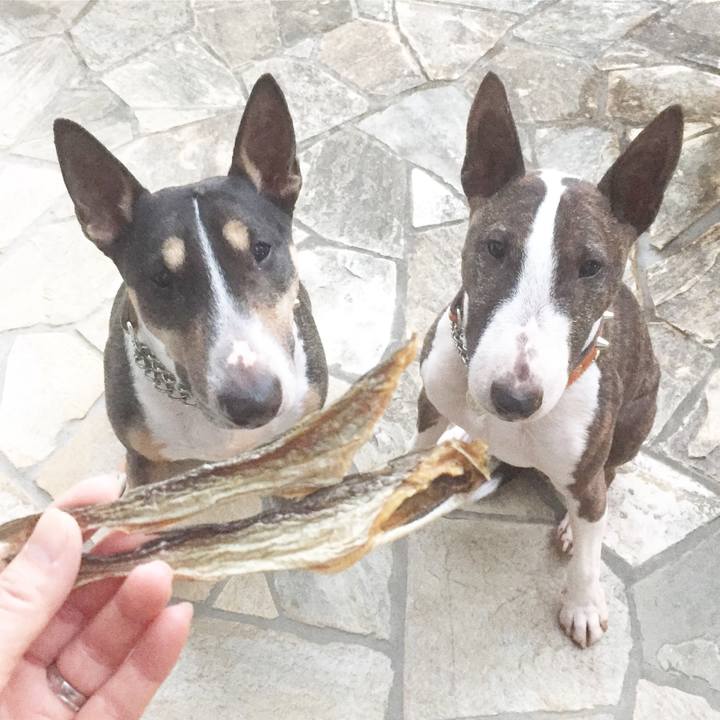 Bce7f440 1ac1 4ebc 81ed baf82a0aa5d9