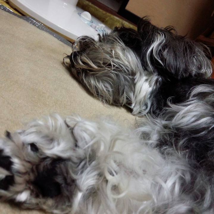 Bce8b830 e539 4ae0 bbf1 90c5768588bb