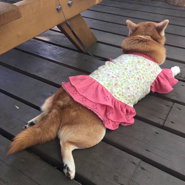 Bce92b69 b56c 43a1 9c83 67d380bfedf2